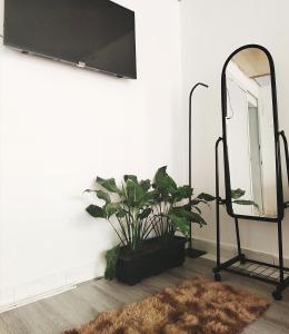 Anhs House Modern Homestay