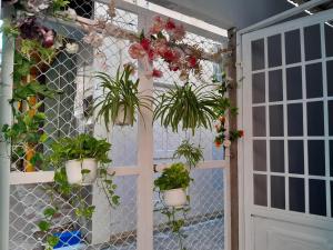 Anhs House Modern Homestay