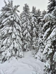 Castello apartman Kopaonik Kraljevi Cardaci komplex