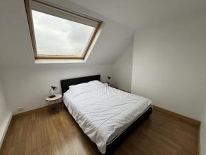 Appartements Amiens, sous les toits 4-6 pers : photos des chambres