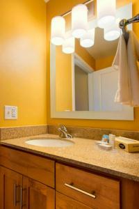 Studio, 1 Queen room in TownePlace Suites by Marriott Kansas City Overland Park