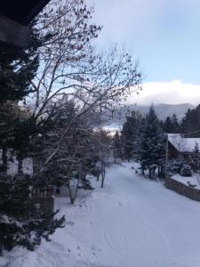 Joli chalet dans la forêt