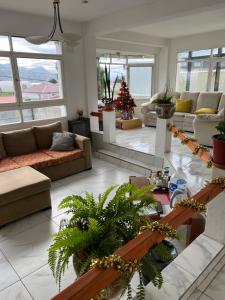 ms hotel campos 26