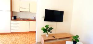 Foce 24 - City Garden 2 -