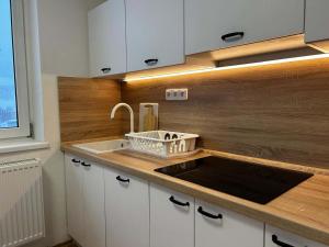 Nachtigals Ore Mountains Residence