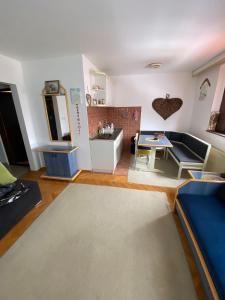 Kopaonik- Vila Ivana