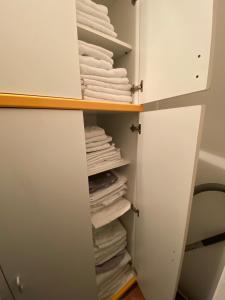 Kopaonik- Vila Ivana