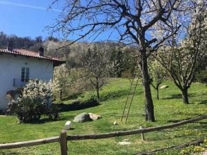 Farmhouse in Monferrato