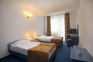 Hotel Alexandros Busteni