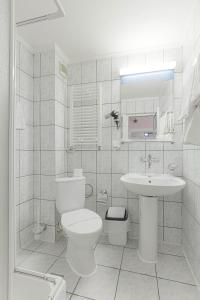 Hotel Alexandros Busteni