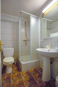 Hotel Alexandros Busteni by Genco & Restaurant Miorita