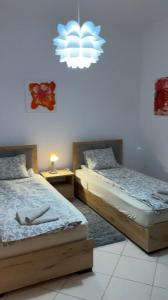 The White Donkey Apartment House