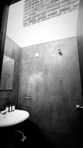 Island vibes by the Rock