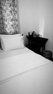 Island vibes by the Rock