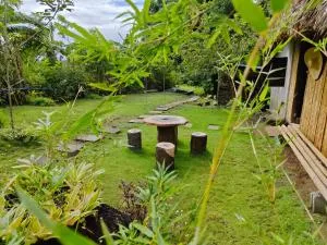 Nature's Cabin - 董索