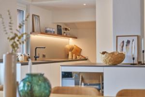 Luxurious Penthouse Apartment