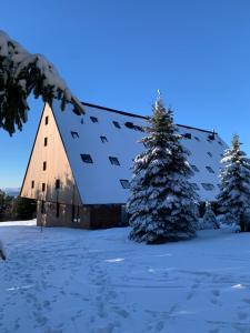 Apartmán Žalý