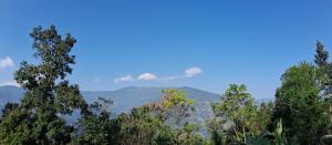 Homestay 38 sittong-3