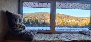 ALPINA Mountain View Apartment