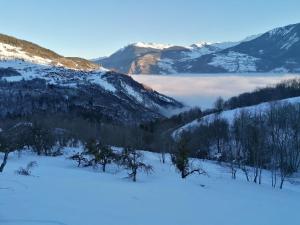 Chalets Chalet La Petite Grange : photos des chambres