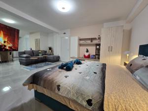 Doksim Luxury Apartments 201