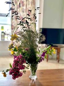 Fionas thatched cottage eile