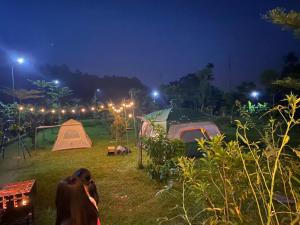 Undertree Life Villa