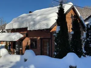 Villa Alpina Brezovice - 乌罗舍瓦茨