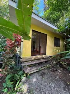 Casatranquila dentro de la selva - Nievecito