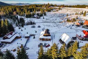 Cabana Refugiul Alpin Beliș