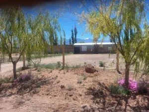 Paz cordillerana - Villa Pituil