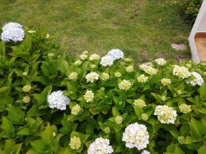Villa Abbracciu climatisée avec piscine chauffée et vue mer