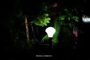 Rose Villa homestay ,THOLPETTY, WAYANAD - Thirunelli