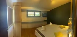 Homein 1 - 科皮托