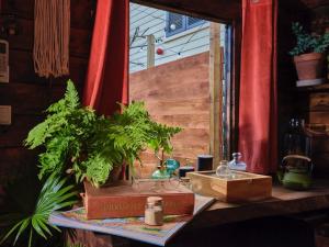 La Cabane de l’Explorateur