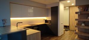 Senamiesčio horizontai