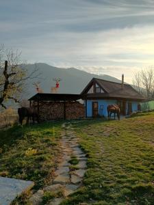 Open View Place The Old Barn