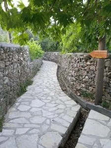 Lux of Naxos - Tsikkalarión