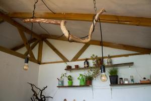 Arriendo cabaña en Vilches