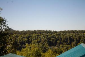 Arriendo cabaña en Vilches