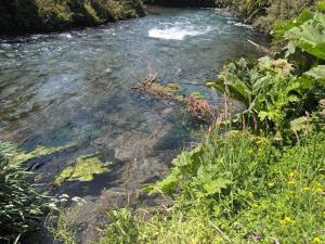 Cabaña Hornopiren 1