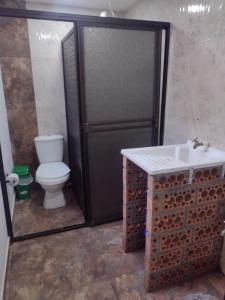 apartment cozy studio