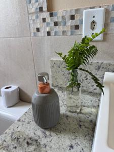 Chalé verde - vila do Abraão