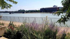 Danube Dream Apartment