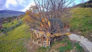 Casa nei 3 alberi, Molise
