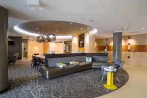 SpringHill Suites by Marriott Winston-Salem Hanes Mall - 温斯顿·塞勒姆