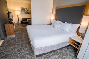 SpringHill Suites by Marriott Winston-Salem Hanes Mall