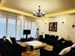 The Zen Abode - Ner Chowk