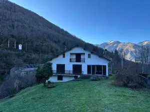 Chalet ARTIGALAS - Aas