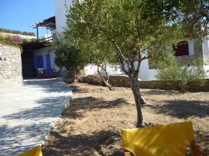 Archipelagos Apartments Paros Greece